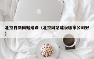宝应县北京自制网站建设（北京网站建设哪家公司好）