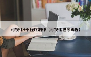 宝应县可视化+小程序制作（可视化程序编程）